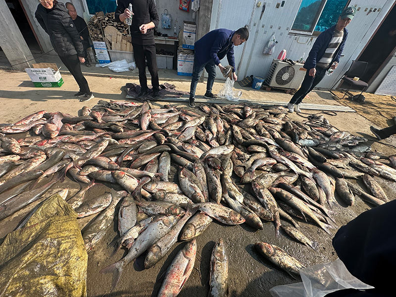 2024捕魚(yú)團(tuán)建